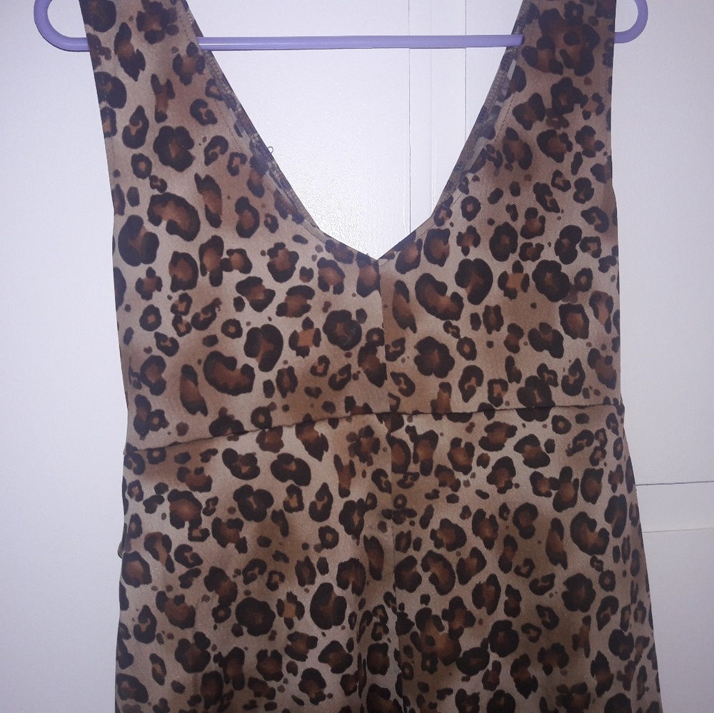 Leopard Dress - Picture 3 of 5